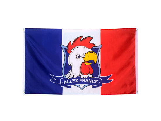 Drapeau France "Allez France"