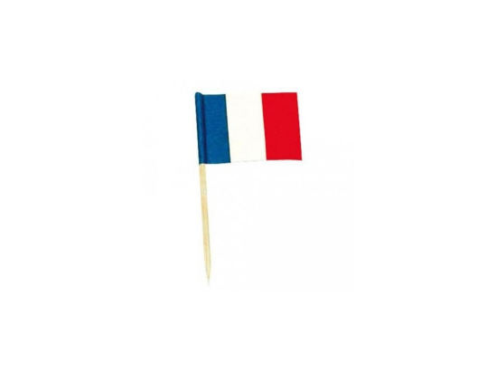 Mini pic drapeau France