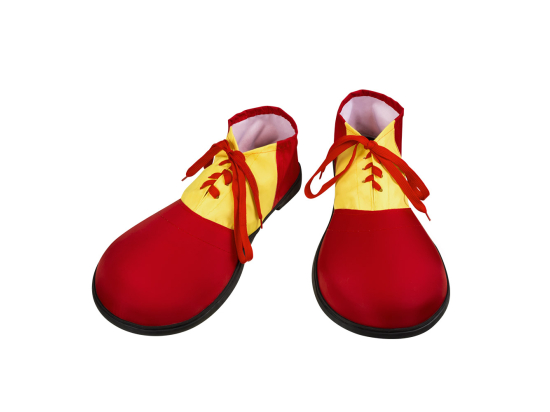 Paire Chaussures de clown