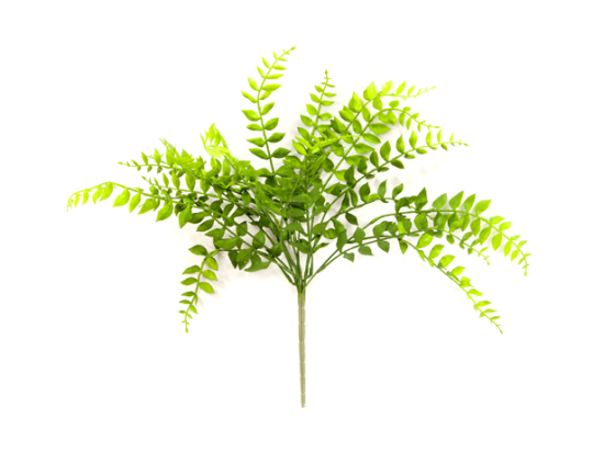 PIQUET DE 7 BRANCHES DE FRAGON OU FAUX HOUX VE