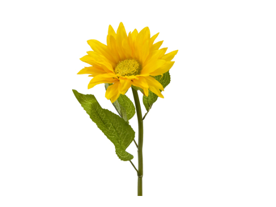 TOURNESOL (39 cm) JA