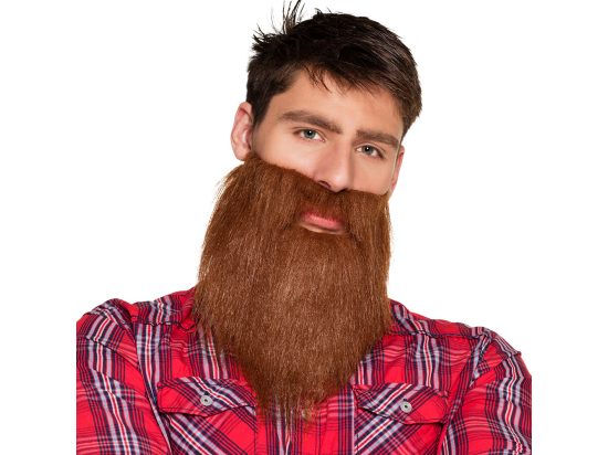 Barbe brune Hipster