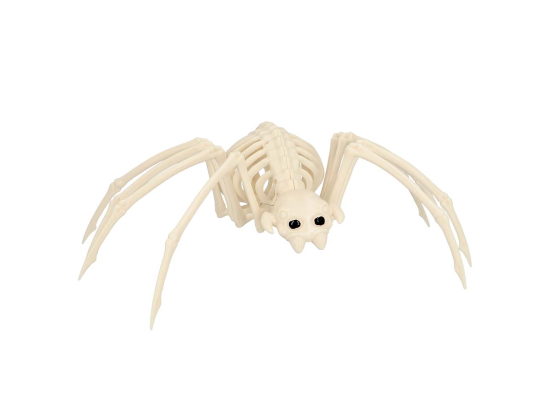 Squelette de Araignée (35 cm)