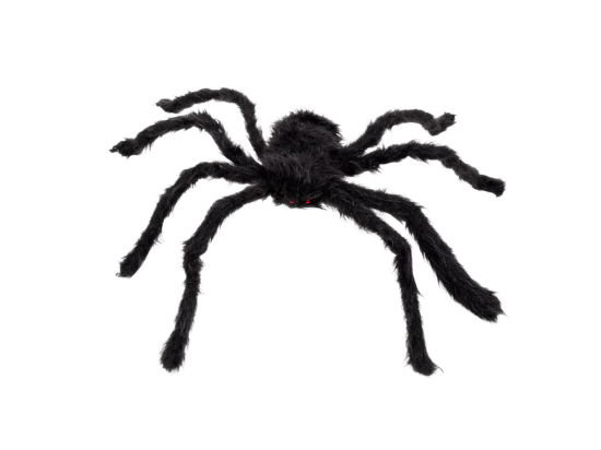 Araignée velue (50 x 65 cm)
