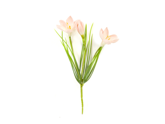 PIQUET DE CROCUS 3 FLEURS ET 2 BOUTONS RO