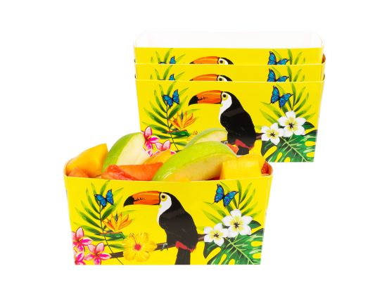 Set 4 Bols Toucan