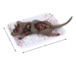 F.PLS. PLATEAU 18X14 CM RAT