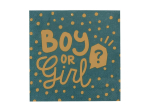 Set 20 Serviettes en papier Boy or Girl