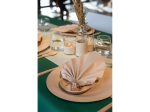 Chemin de table Gala Pistache Green