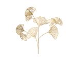 Branche de feuilles de ginkgo or