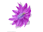 Clip pour cheveux fleur violette brillante