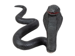 Cobra en latex