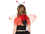 Set Coccinelle ROUGE