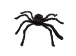 Araignée velue (50 x 65 cm)