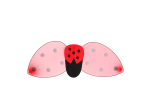 Set Coccinelle ROUGE